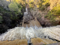 1/17/2023 Muddy Water over Searsville Dam