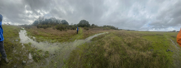 Flooding across Trail 9