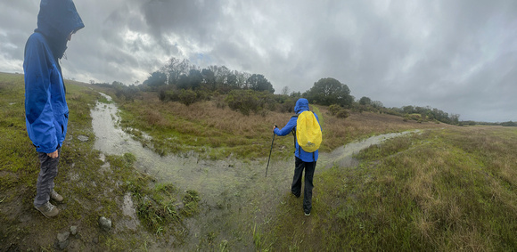 Flooding across Trail 9