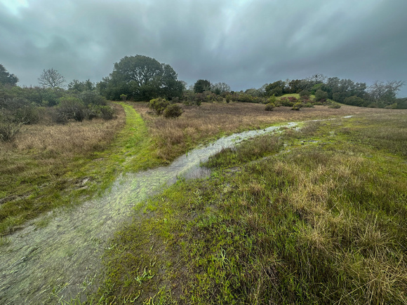 Flooding across Trail 9