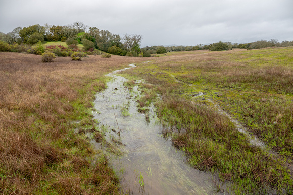 Flooding across Trail 9