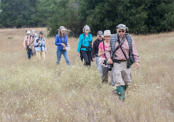 Birders in the Grassland