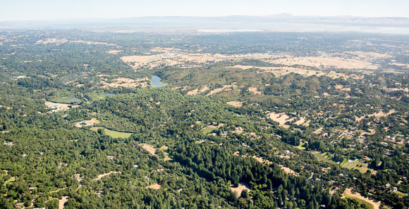 Overall View of Jasper Ridge Biological Preserve