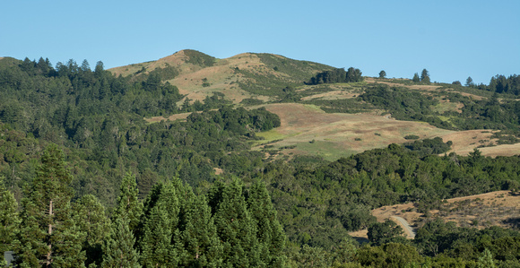 Windy Hill from Portola Valley Ranch