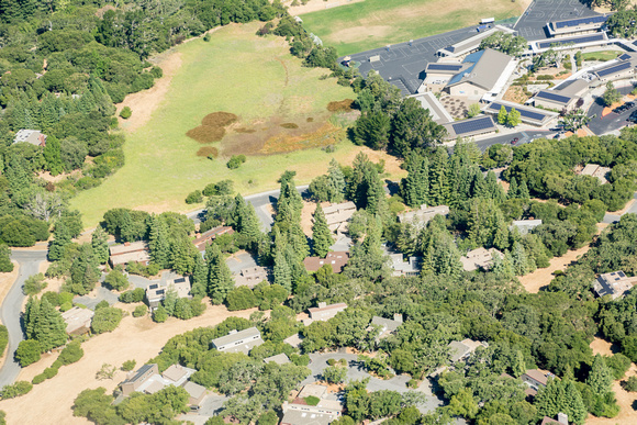 PVR, Frog Pond, and Corte Madera School