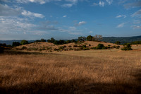 Grassland, Chaparral, Oaks, and Windy Hill -- a Wider View