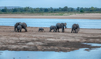 Walking to Water Hole