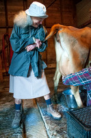 Ruth Helps Milk a Cow