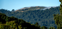 Windy Hill in Fog