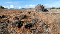 10/20/2017 Serpentine Rocks with Lichen
