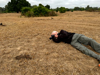 Dan Photographing Matabele Ants