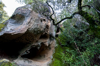 Tafoli on Rattlesnake Rock