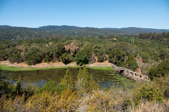 Searsville Lake at Low Water