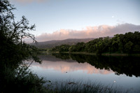 Searsville Lake at Dawn (2)