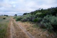 Chaparral, Grasslands, and Lone Valley Oak