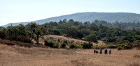 Jasper Ridge Birders