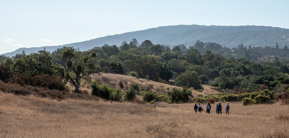 Jasper Ridge Birders