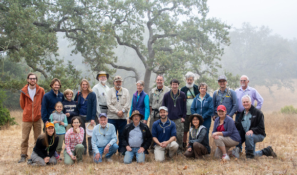 Ant Surveyors, Fall 2016