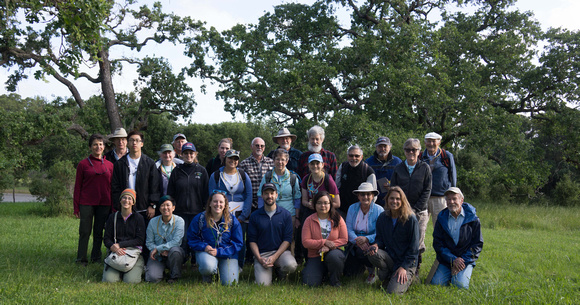 Ant Surveyors, Spring 2017