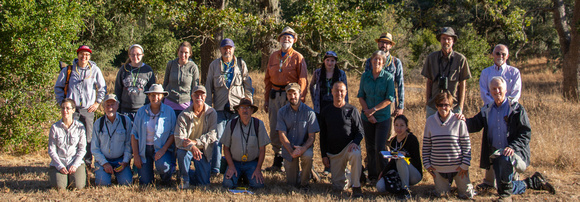 Jasper Ridge Ant Surveyors, 9/19/2015