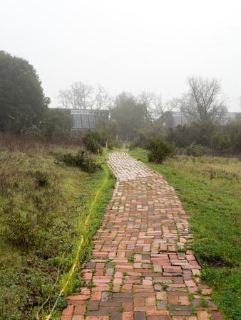 Brick Walkway in Fog (2/10/2017, 7:40 am)