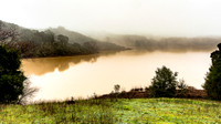 Searsville Lake in Fog (2/10/2017, 7:57 am)