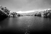 Searsville Lake in Infrared? (2/29/2020)