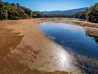 Searsville Lake (11/31/2020)