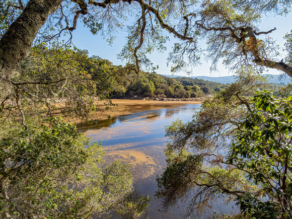 Searsville Lake (11/31/2020)