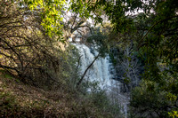 Searsville Dam from Downstream