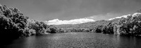 Searsville Lake in Infrared? (Detail)