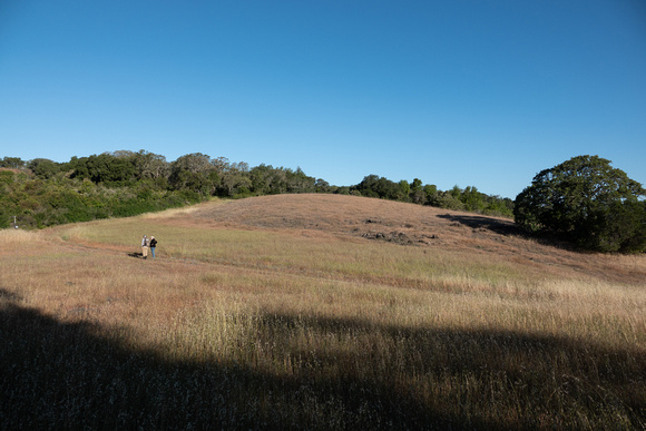 Birders and Serpentine Grassland