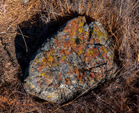 Serpentine Rock with Lichen
