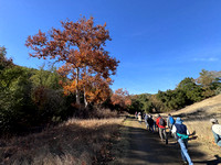 12/7/2024 Rancho Cañada del Oro Open Space Preserve