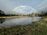 Rainbow over the Frog Pond