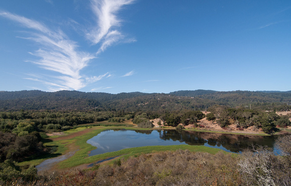 Searsville Lake