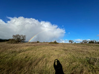 Approaching Raincloud with Rainbow