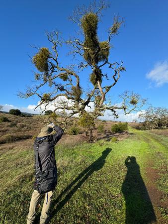 Photographing a Favorite View