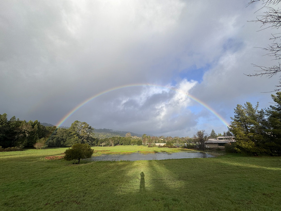 BONUS:Rainbow over Frog Pond