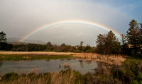 Rainbow over Frog Pond