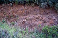 Geology -- Jasper or Red Chert