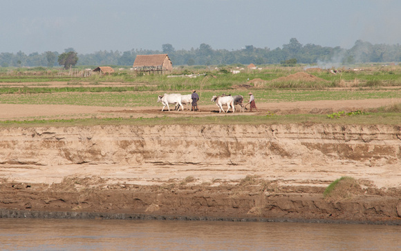 Plowing near the Irrawaddy