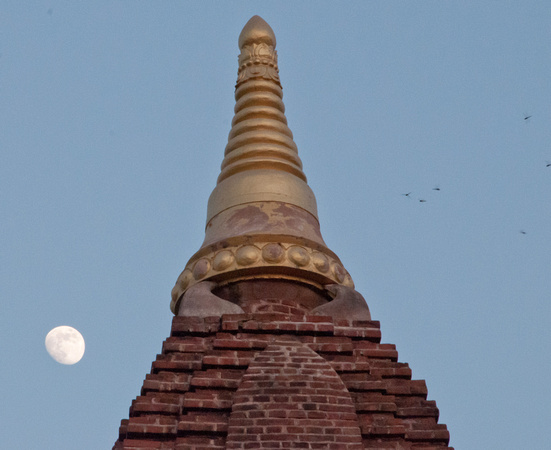 Rising Moon, Temple Crest, Insect Swarm