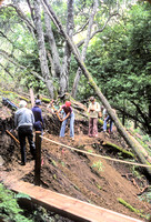 Building Toyon Trail: Jane Ames and Others