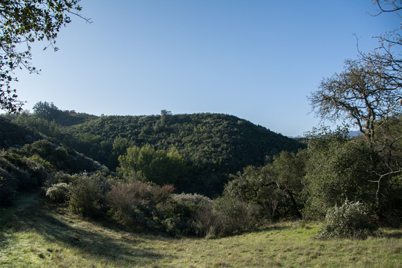 Chaparral-covered Hill