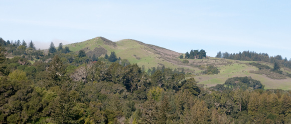 Windy Hill & Spring Ridge