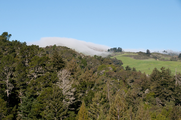 Fog comes to Windy Hill