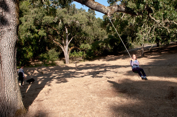 Swing in Mader Valley (2011)