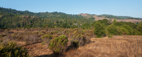 Coal Mine Ridge Panorama with Windy Hill