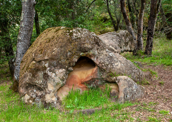 Tafoni Boulder